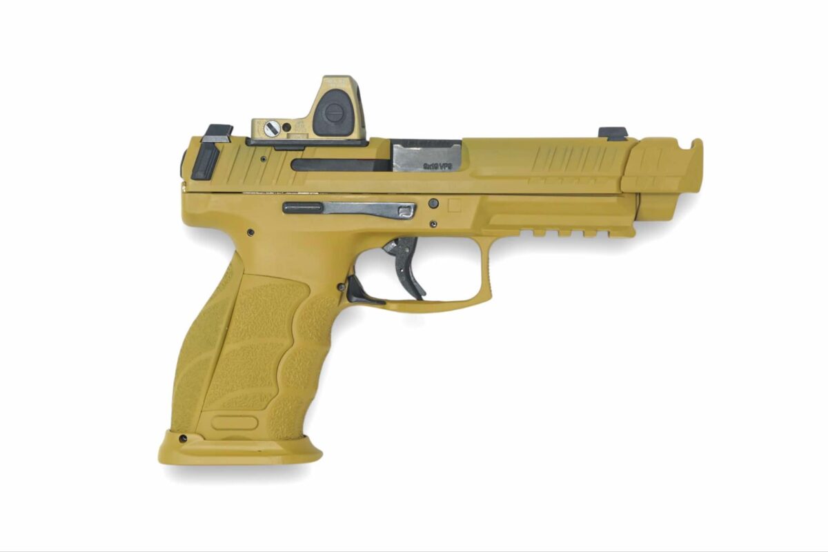 Complete Handgun - Image 4